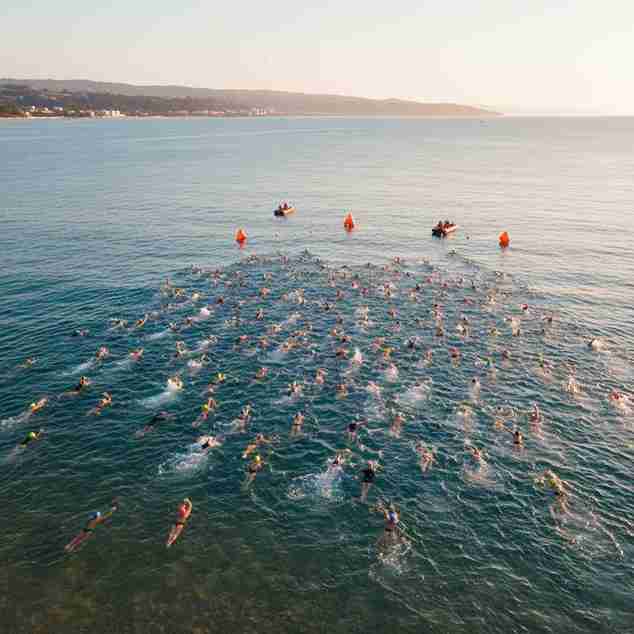 Swimmers starting an ocean race